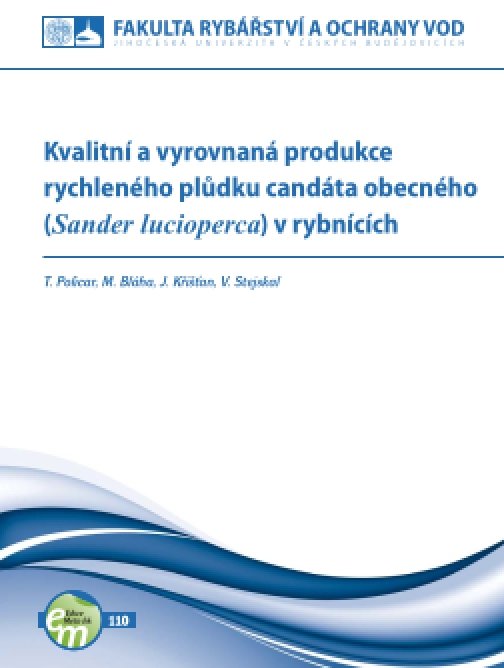 Kvalitní a vyrovnaná produkce rychleného plůdku…